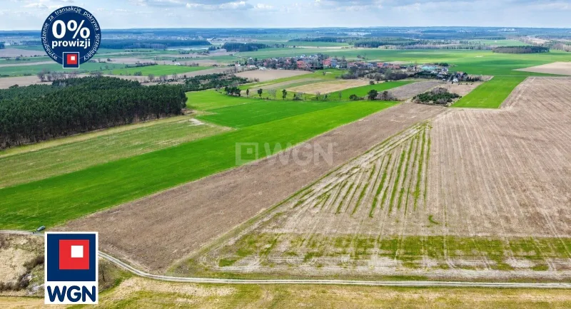 Grunt budowlany jednorodzinny na  sprzedaż Rudgerzowice - Działki budowlane z WZ Rudgerzowice,gmina Świebodzin,woj.lubuskie